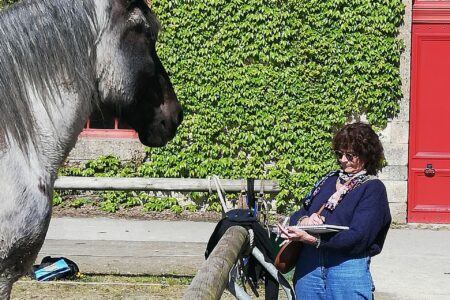 stage-dessin-haras-hennebon-ASAL-LORIENT